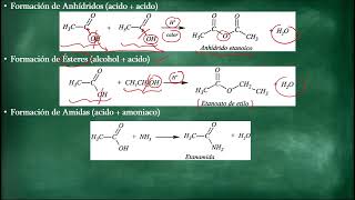 Propiedades físicas y químicas de los ácidos carboxílicos [upl. by Yttik]