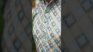 Kurta Set for Mens  Maheshwari Lifestyle [upl. by Aidam497]