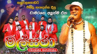 Malsara Chamara Ramawaka New Reggae Song  කළුවලගොඩට පිස්සු හැදෙන්න දීපු චාමරගේ අලුත්ම එක මල් සරා [upl. by Ettevahs]