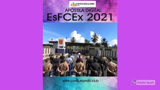 APOSTILA ESFCEX 2021 INFORMÁTICA [upl. by Yolanthe]