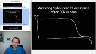 7Quantitative PCR  the melting curve [upl. by Ad]