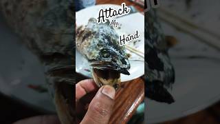 Roasted fish head attack my hand shorts asmr food jp [upl. by Hawkie790]