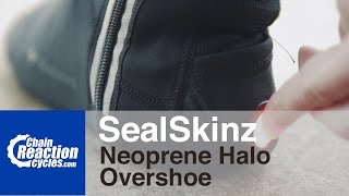 Quick Look  SealSkinz Neoprene Halo Overshoes [upl. by Ab983]