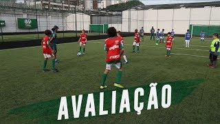 A PENEIRA NA ESCOLINHA DO PALMEIRAS [upl. by Eelrahc]