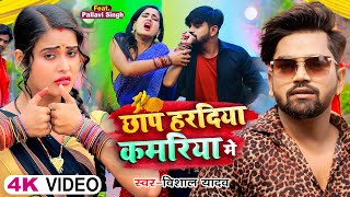 Video  छापS हरदिया कमरिया में  Vishal Yadav  Ft Pallavi Singh  Bhojpuri Hit Song [upl. by Munn]