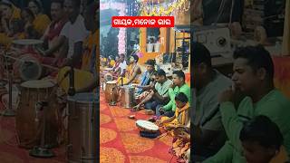 Naranapur kirtan Mandali Dhenkanal l 8658299300 [upl. by Tufts]