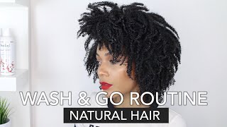 My Wash amp Go Routine  TightlyCoiled Natural Hair 4a4b4c [upl. by Jaquenetta]