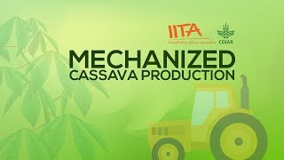 Mechanized Cassava Production [upl. by Eelir100]