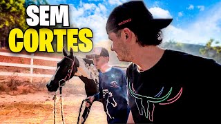 1º VLOG SEM EDIÇÃO Haras do Pepê Figueiredo [upl. by Aicitan]