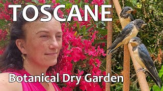 TOSCANE 7 Botanical Dry Garden de eerste droge Botanische tuin in Italië [upl. by Etnomed277]