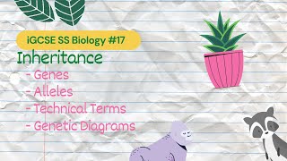 Inheritance  iGCSE SS Bio 17 [upl. by Mellman]