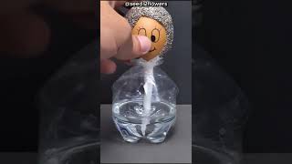 This Person Made an Amazing Invention Using an Egg 🥚 [upl. by Jean]