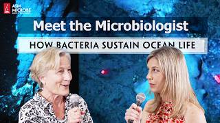 From Hydrothermal Vents to Cold Seeps How Bacteria Sustain Ocean Life  Meet the Microbiologist [upl. by Hobart996]