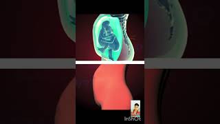 Babys Moments inside the womb 3D Animation fetalmovement shorts short [upl. by Akeemat]