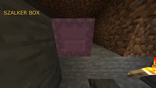 MINECRAFT SHULKER BOX [upl. by Noami]