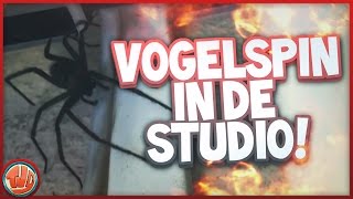 VOGELSPIN IN STUDIO [upl. by Ardnued]