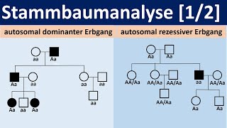 Stammbaumanalyse 12  autosomal dominante bzw rezessive Erbgänge Biologie Oberstufe Genetik [upl. by Toma]