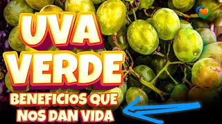 🍇 UVA VERDE BENEFICIOS Y PROPIEDADES QUE DAN VIDA AL CUERPO [upl. by Pass]