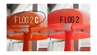 FLog 2 C is a GAMECHANGER [upl. by Annairda]