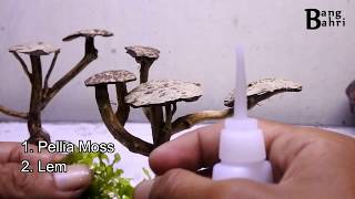 Cara Menempelkan Moss Bonsai Aquascape [upl. by Burrus]