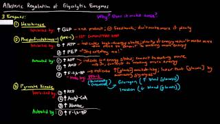 Glycolysis Part 3 of 3  Allosteric Regulation [upl. by Blaine]