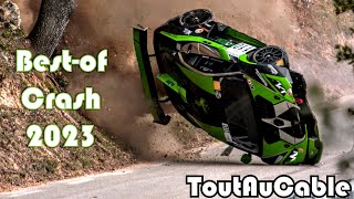 Best of Rallye Rally 2023  Hillclimb  Big Crash  Mistakes amp Show by ToutAuCable [upl. by Ennaoj909]