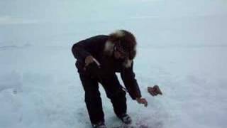 catching fish in nunavut [upl. by Etteroma502]