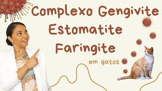 COMPLEXO GENGIVITE ESTOMATITE FARINGITE EM GATOS [upl. by Orvie]