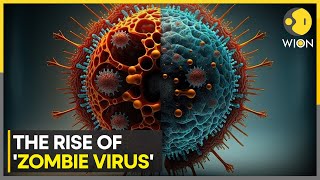 Scientists sound alarm for potential outbreak of Zombie Virus  WION [upl. by Ojadnama]