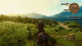 Lets Play The Witcher 3 Die Eroberung des Paradieses Folge 17 [upl. by Spencer]