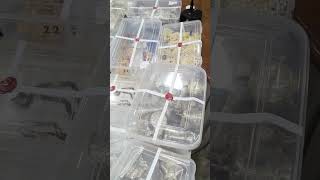 Watch 12kg silver and 1kg gold ornaments worth crores of rupees recovered in Mapusa robbery case [upl. by Oriane]