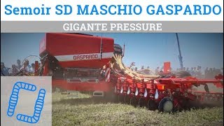 Semoir direct GASPARDO Gigante Pressure  SIMA 2019 [upl. by Nwotna]