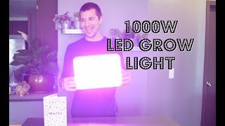 LED Grow Light Review HIGROW 1000W [upl. by Balfore]