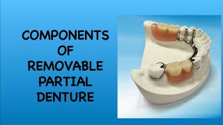 Components of Removable Partial DentureRPD Prosthodontics I BDSIADC [upl. by Foster]