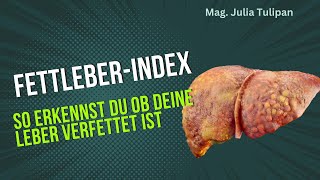 Fettleber erkennen mit dem Fettleber Index [upl. by Cuttie]