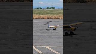 RC Carbon Cub S nice landing [upl. by Boyden]