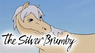 The Silver Brumby 101  Friends of the High Country HD  Full Episode [upl. by Bobinette]