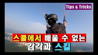 릿지로 살아남아 써멀소어링으로 연결시키기 vol 1제1편 릿지비행 How to avoid a short flight in weak winds vol 1 패러글라이딩 [upl. by Annaujat]