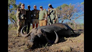 GREAT BUFFALO AND PLAINS GAME HUNTING WITH CHICO amp SONS  TSESSEBE SAFARIS [upl. by Ynnej781]