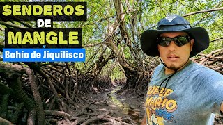 😱Ya conocías los SENDEROS de MANGLE🌱en la BAHÍA de JIQUILISCO🌊algo de OTRO MUNDO😱 en EL SALVADOR🇸🇻 [upl. by Tongue]