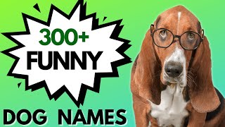 300 FUNNY Dog Names 😆 Unisex Dog Names Boy amp Girl Dog Names [upl. by Notpmah]