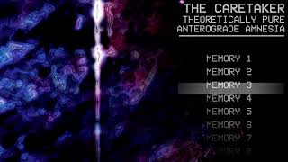 Theoretically Pure Anterograde Amnesia [upl. by Nahbois]