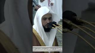 Imama msjid nabvi song live music explore love quotes qaridawood musicgenre onlinequran [upl. by Perle576]