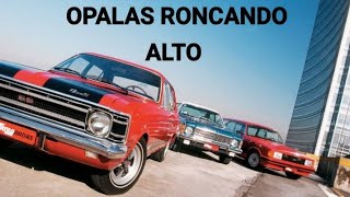 OPALAS RONCANDO ALTO [upl. by Adneram]