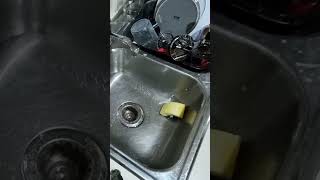 dishwash asmr dishwasher soap water cleaning cutlery householdchores kitchenchores [upl. by Negiam246]