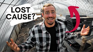 Is The Greenhouse Fixable Or Just Junk [upl. by Lorrin]