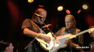 Walter Trout  Saw My Mama Cryin 2012 [upl. by Radnaxela]