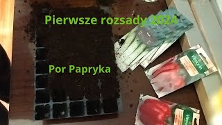 Sianie pora i papryki na rozsade [upl. by Anhpad]