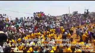 Jallikattu thalaivar senthil thondaman kaalai [upl. by Elleina]