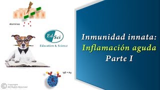 🆘 Respuesta inmune innata Inflamación aguda  Parte 1️⃣ [upl. by Bagley643]